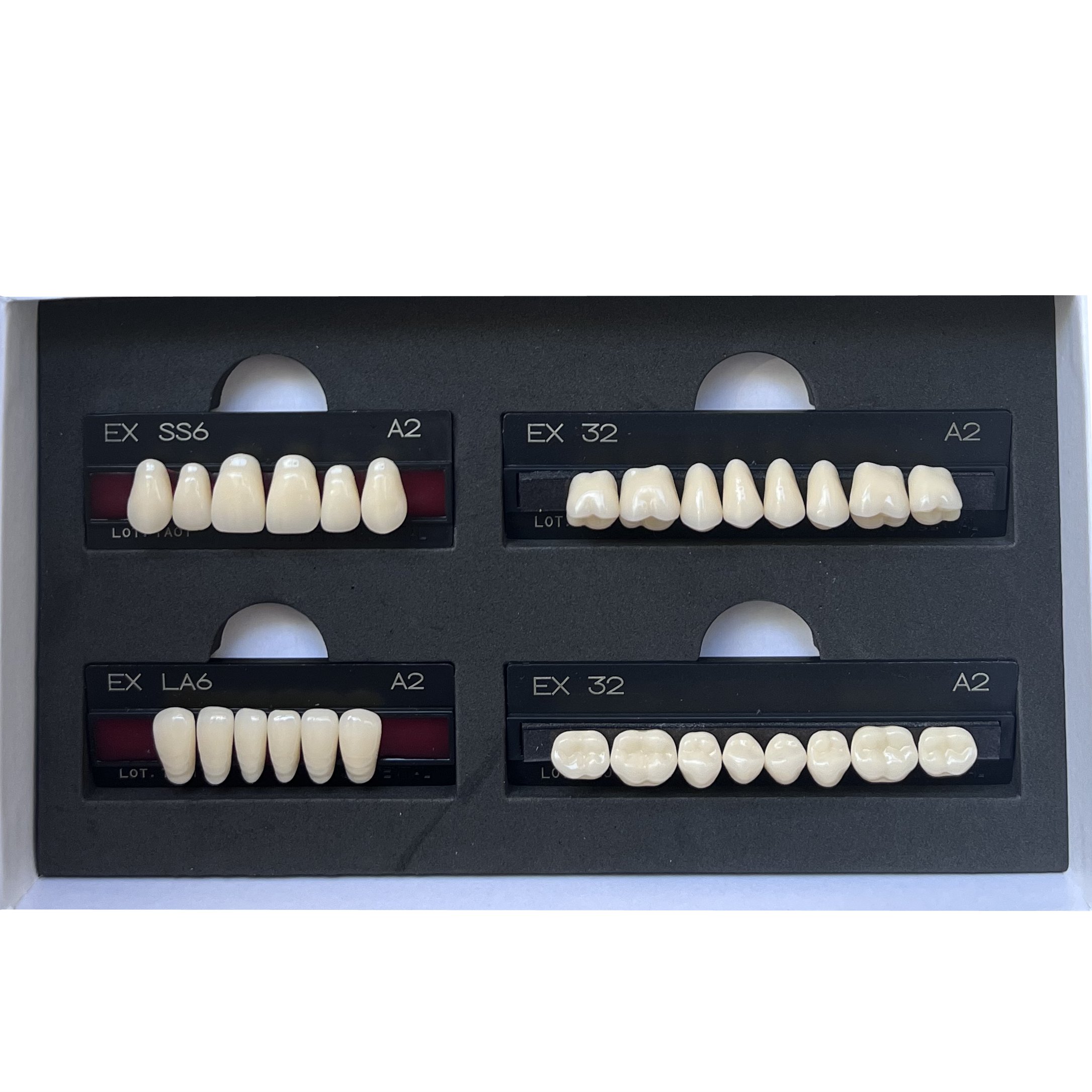 Dental material Yamahachi Dental synthetic resin teeth EX super hard type