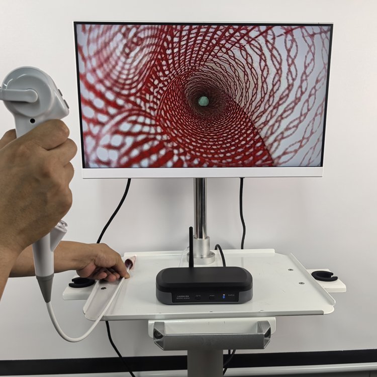 Small Order Quantity Quality assure Wireless Dental Equipment Intraoral Camera WiFi High Pixel Intra Oral Endoscope