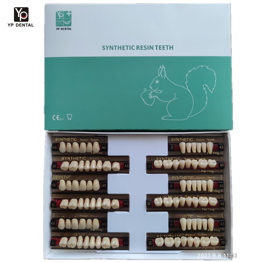 Factory OEM Multi layer Dental Acrylic Resin Teeth Synthetic Resin Acrylic Composite Teeth for Dental Prosthesis
