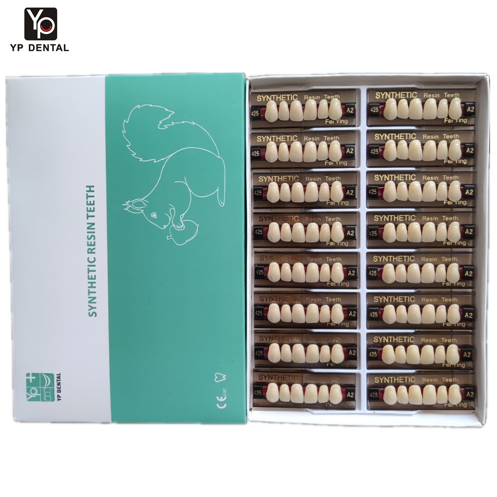 Factory OEM Multi layer Dental Acrylic Resin Teeth Synthetic Resin Acrylic Composite Teeth for Dental Prosthesis