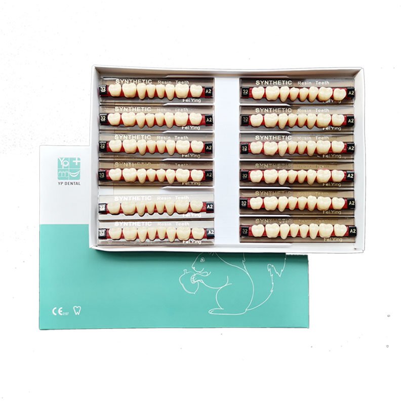 Factory OEM Multi layer Dental Acrylic Resin Teeth Synthetic Resin Acrylic Composite Teeth for Dental Prosthesis