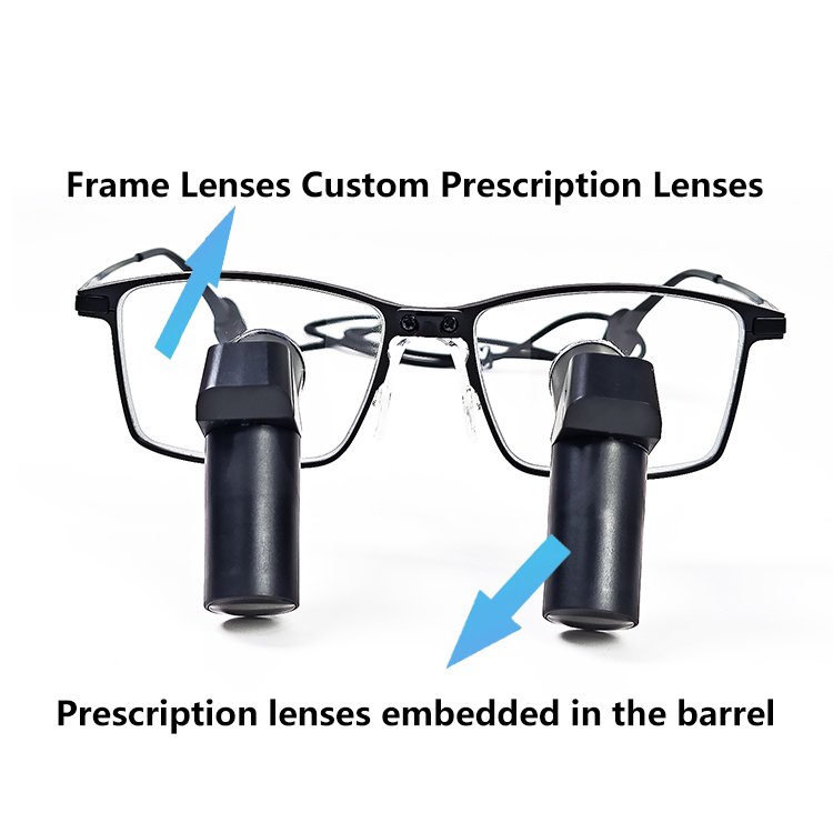 prescription TTL 6.5X ergo Eur Pet Professional Equipment Surgical Manufacturer Dental Medical Loupes For Animal Hospital