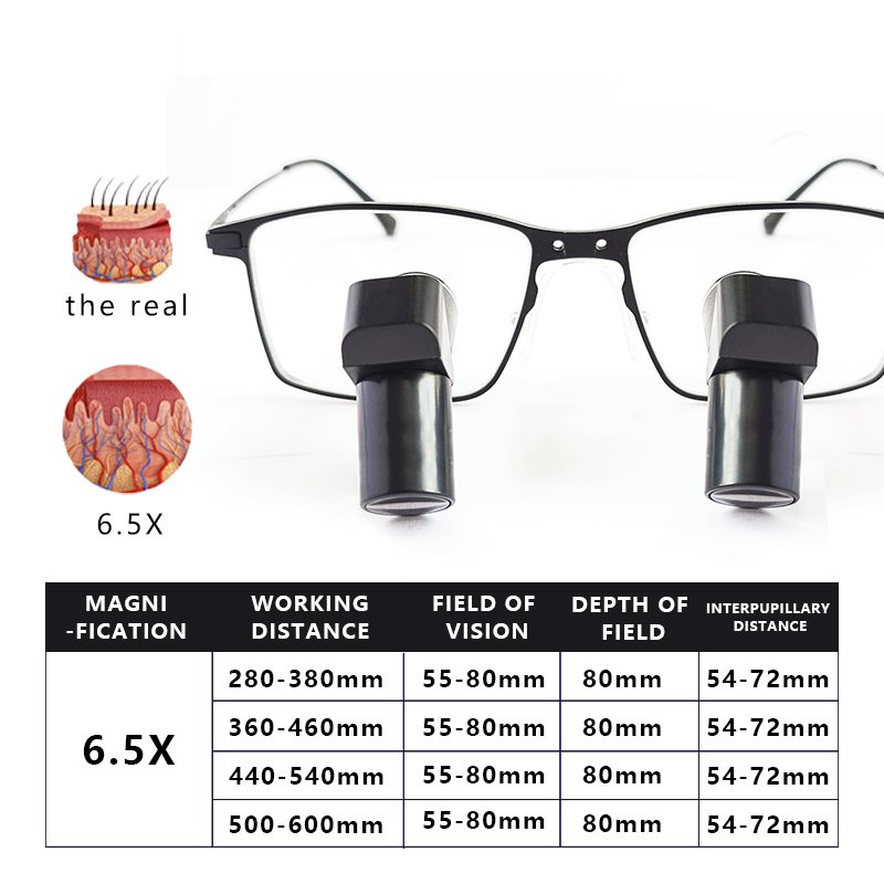prescription TTL 6.5X ergo Eur Pet Professional Equipment Surgical Manufacturer Dental Medical Loupes For Animal Hospital