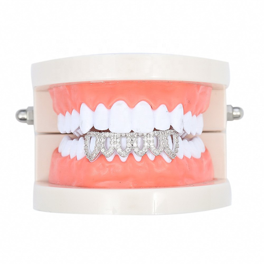 Hot selling Other Dental Equipments dental model Teaching Standard Tooth Model Dental model