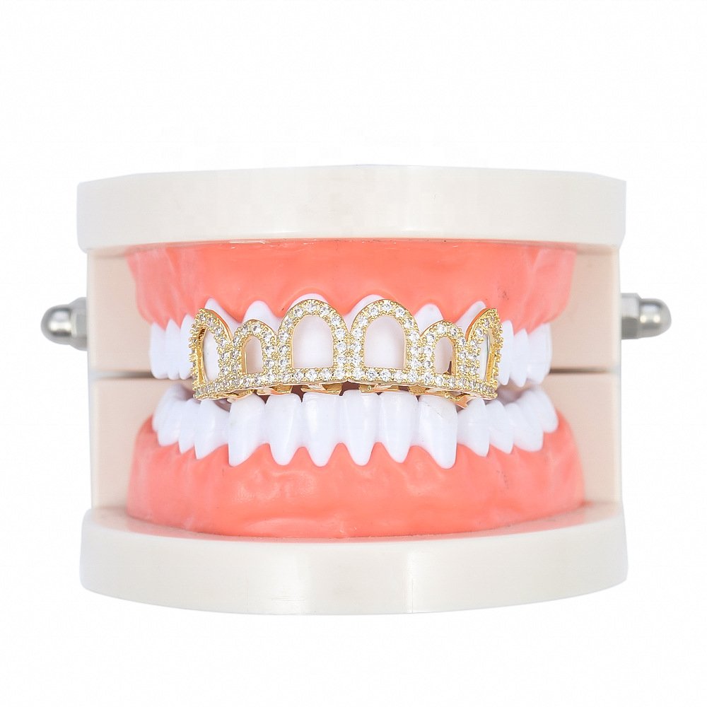 Hot selling Other Dental Equipments dental model Teaching Standard Tooth Model Dental model