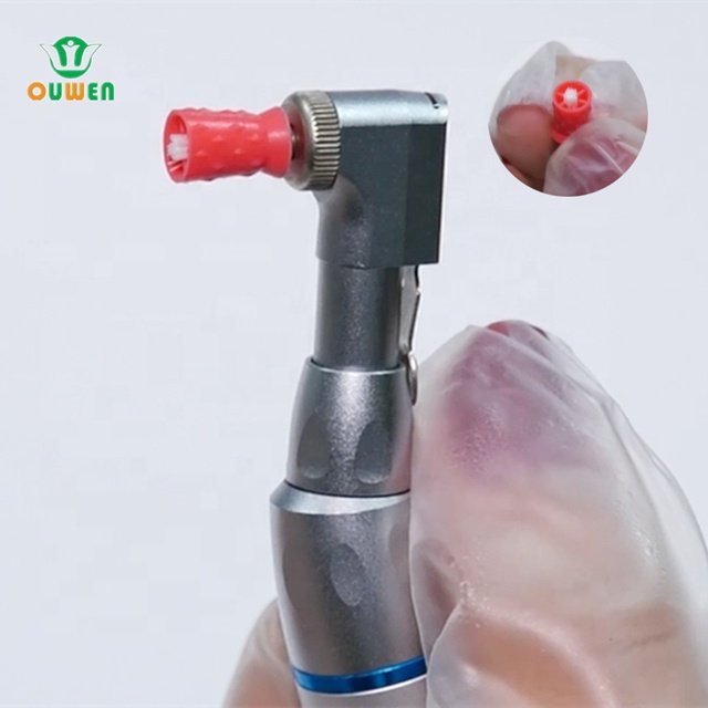 Wholesale Other Dental Equipment 2 Ways Polishing Cups Brush for Clean/Dental surface polishing