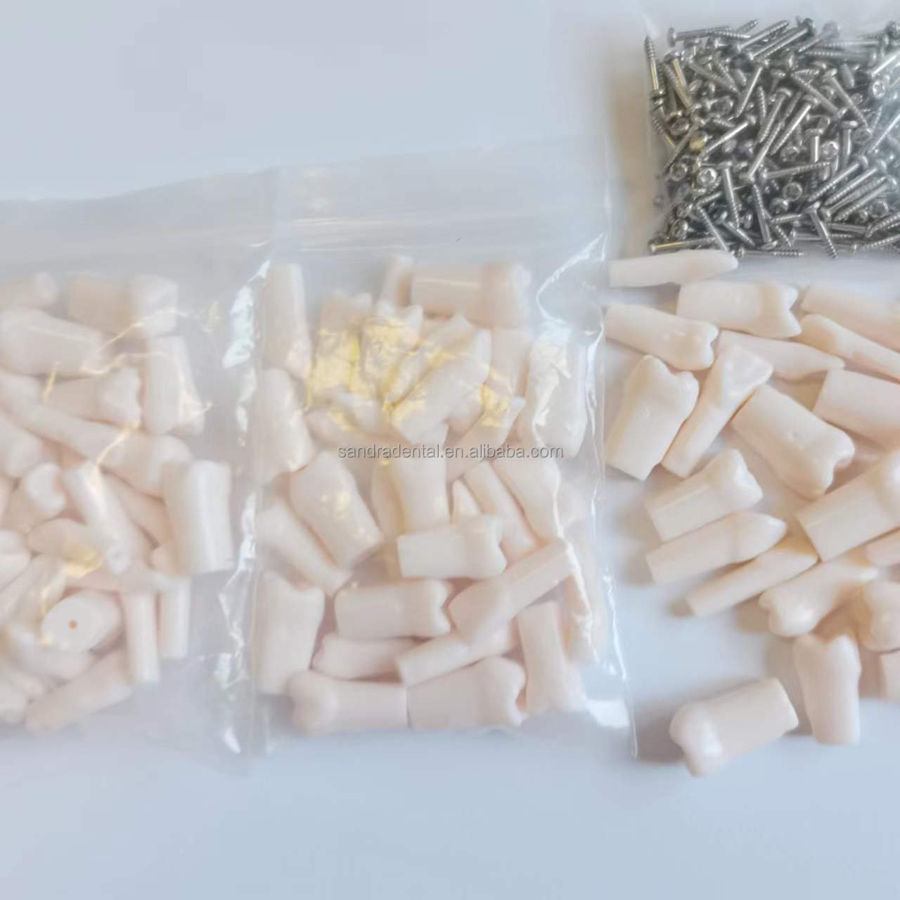 Hot selling School Supplies Dental model Artificial Teeth detachable Dental Articulator