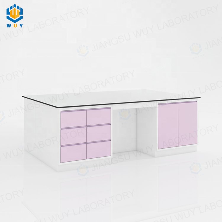 OEM Customized School Science Laboratory Bench Lab Table Medical Lab Equipment