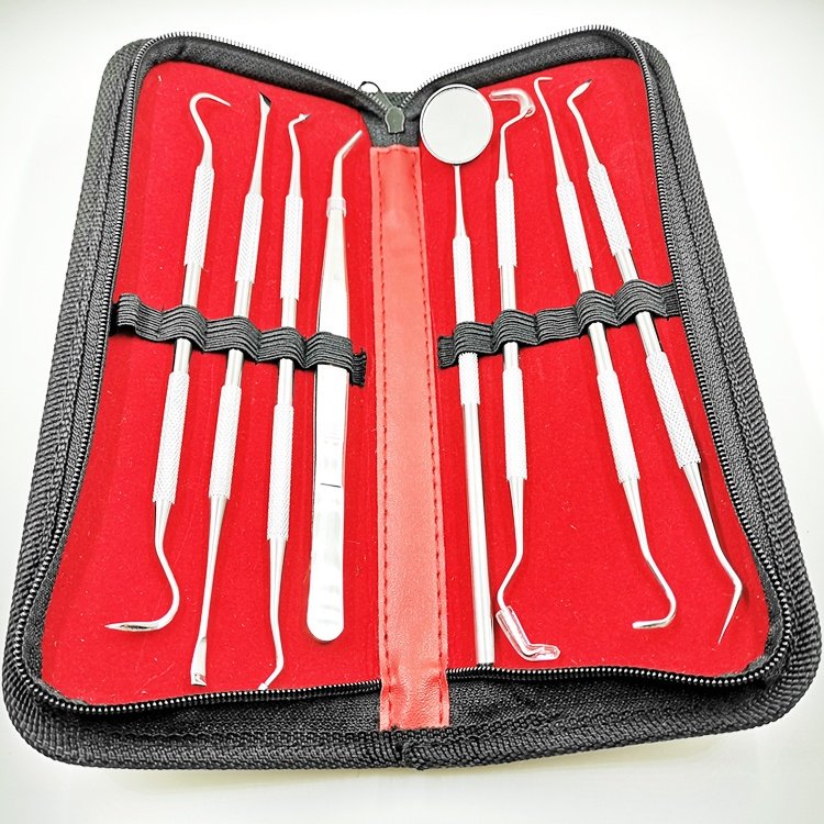 Best quality oral care kits 8pcs stainless steel dental tool kit Instrument dental hygiene set