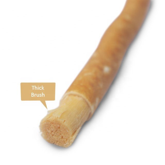 HIGH QUALITY PACKED MISWAK/SEWAK/NATURAL TEETH CLEANING STICK TOOTHBRUSH WATER FLOSSER TEETH CLEANING ORAL TEETH CLEANING