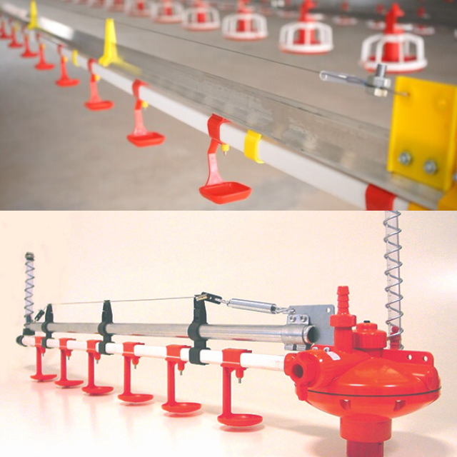 Animal & Poultry Husbandry Equipment Automatic Chicken Feeding And Drinking Line From Vietnam Manufacturer