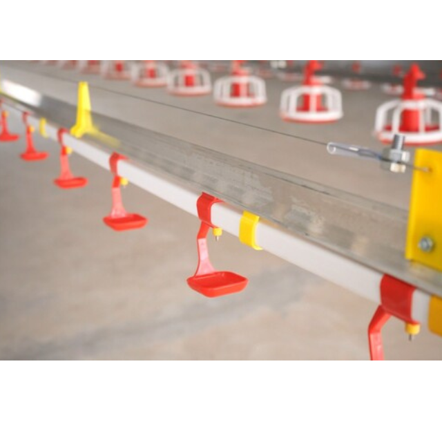 Animal & Poultry Husbandry Equipment Automatic Chicken Feeding And Drinking Line From Vietnam Manufacturer