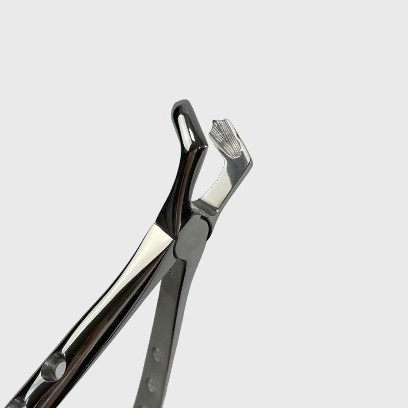 Dental Adult Dental clamp set 10pcs in set stainless steel instruments minimally invasive tooth extraction instruments and tools