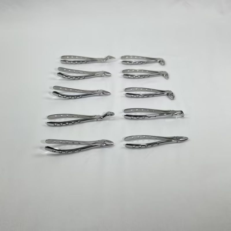 Dental Adult Dental clamp set 10pcs in set stainless steel instruments minimally invasive tooth extraction instruments and tools