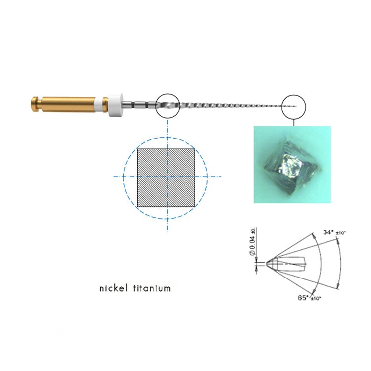 Direct Sale Engine Use Series Dental Files Glide Path Files for Shaping the Root