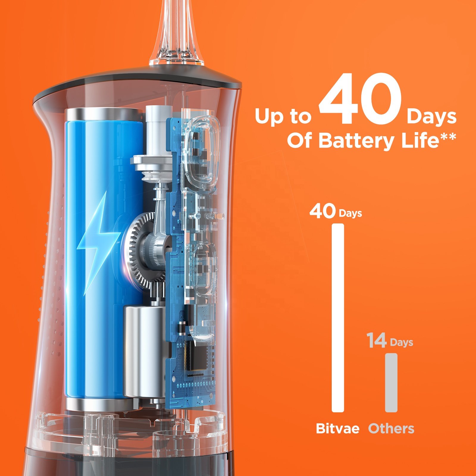 Bitvae BV C2 260ml Water Tank Water Flosser Oral Irrigator with 6 Nozzles