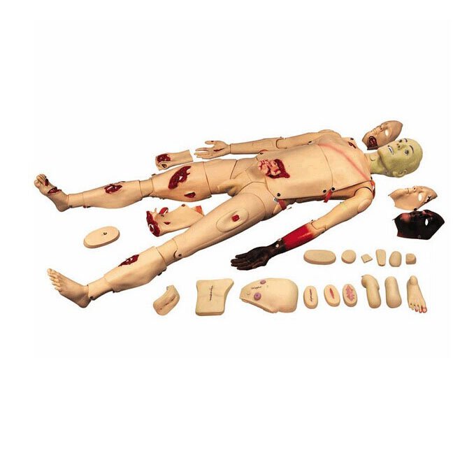 Made In China Medical Science Chinon Dental Midwifery Training Manikin Advanced New Accessories Care Trauma Nursing Model