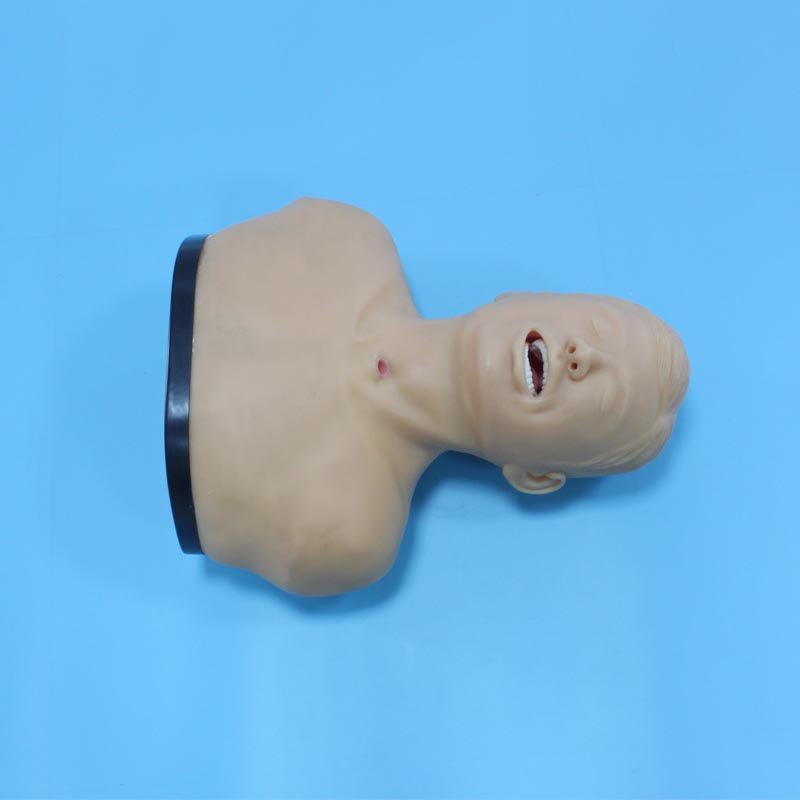 Made In China Medical Science Chinon Dental Midwifery Training Manikin Advanced New Accessories Care Trauma Nursing Model