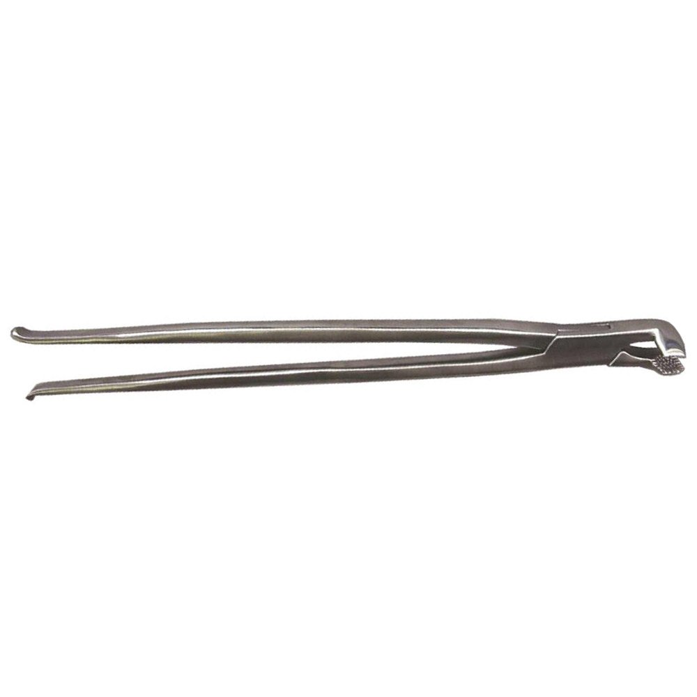 Pliers Loop Forming Wire Bending Pliers Dental Utility Orthodontic & Prosthetic Flat Nose Professional German Steel Pliers