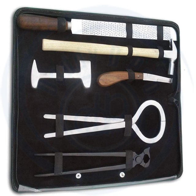 Professional New BASIC Horse Hoof Kit Trimmer Cutting Nail Veterinary Surgical Instruments Kit A + QUALITY BY DADDY D PRO