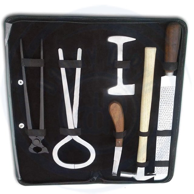 Professional New BASIC Horse Hoof Kit Trimmer Cutting Nail Veterinary Surgical Instruments Kit A + QUALITY BY DADDY D PRO