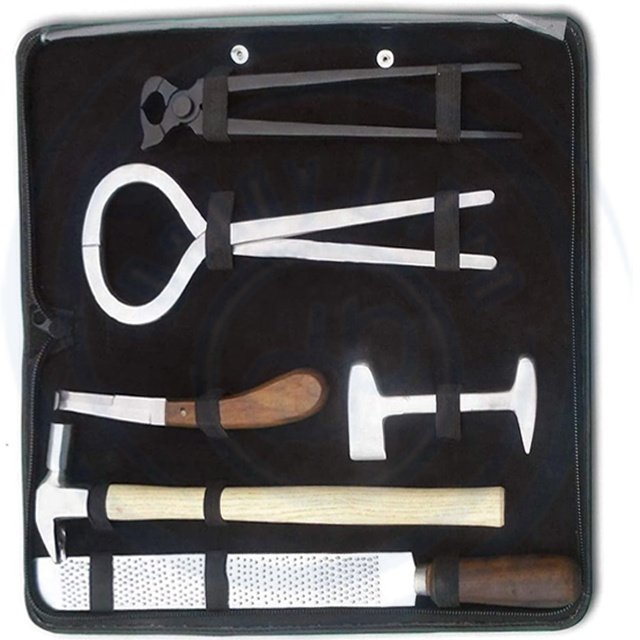 Professional New BASIC Horse Hoof Kit Trimmer Cutting Nail Veterinary Surgical Instruments Kit A + QUALITY BY DADDY D PRO