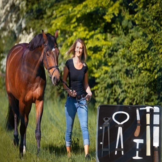 Professional New BASIC Horse Hoof Kit Trimmer Cutting Nail Veterinary Surgical Instruments Kit A + QUALITY BY DADDY D PRO