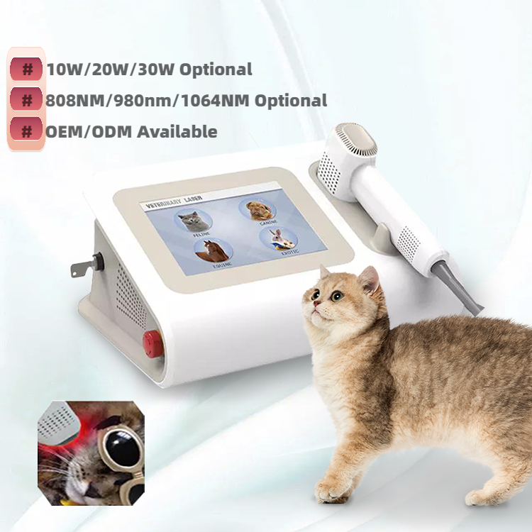 Newest Class Iv Laser Therapy Diode 980nm Veterinary Low Level Treat Animals and Pets without Side Effects