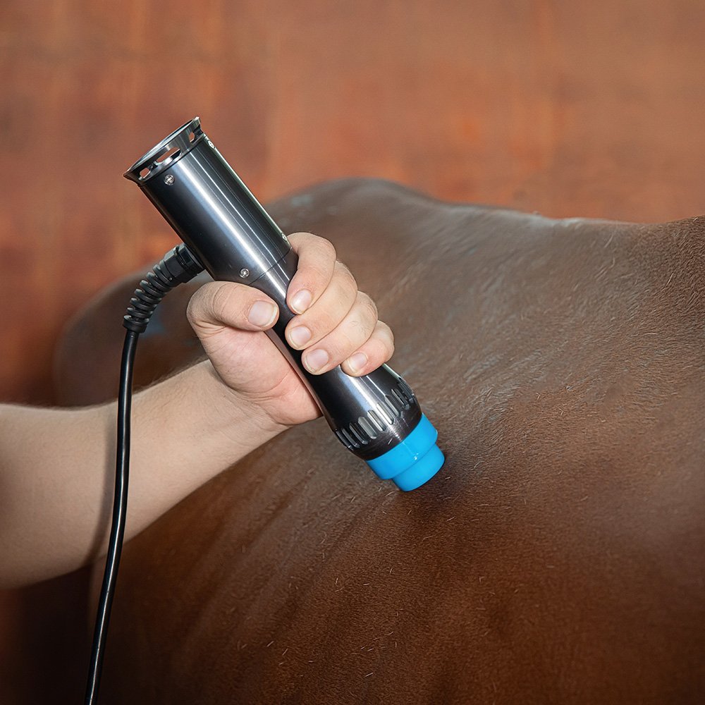 Veterinary Use Physical Therapy Shockwave Focused Electromagnetic Machine for Horse Pain Relief