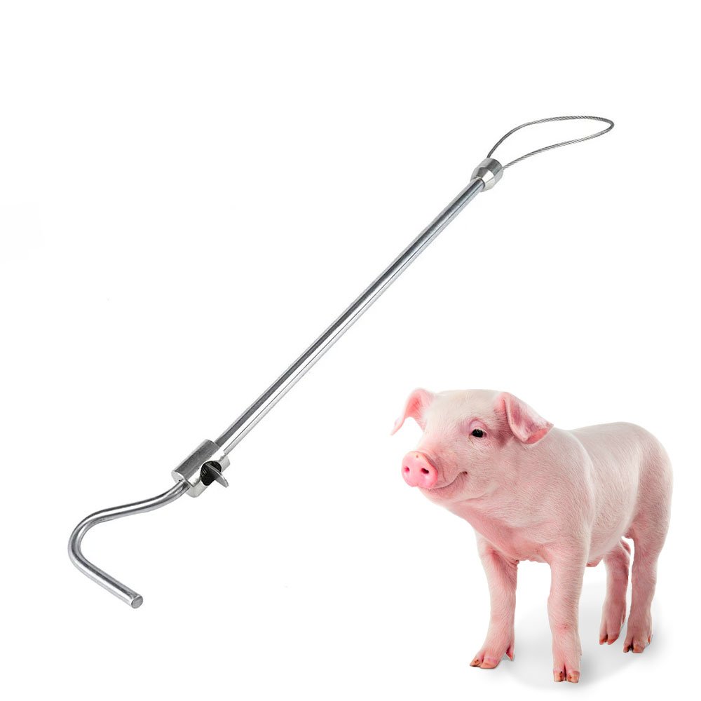 Pig Holder Catcher Pole S shape Handle Stainless Steel | Veterinary Livestock Animal Restraining Tool OEM Private Label