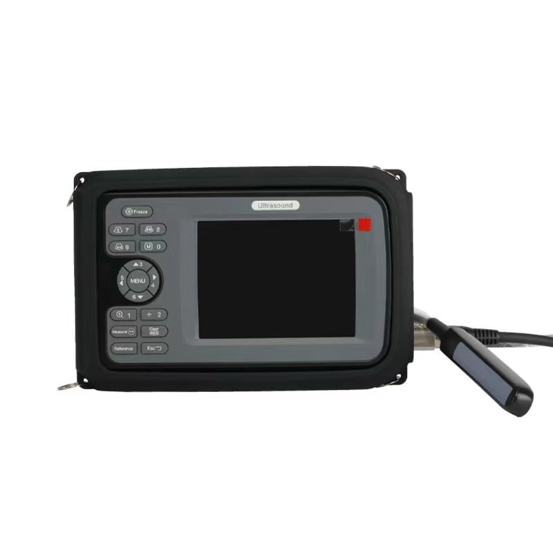 Veterinary Ultrasonic Machine Instrument for Veterinary Use
