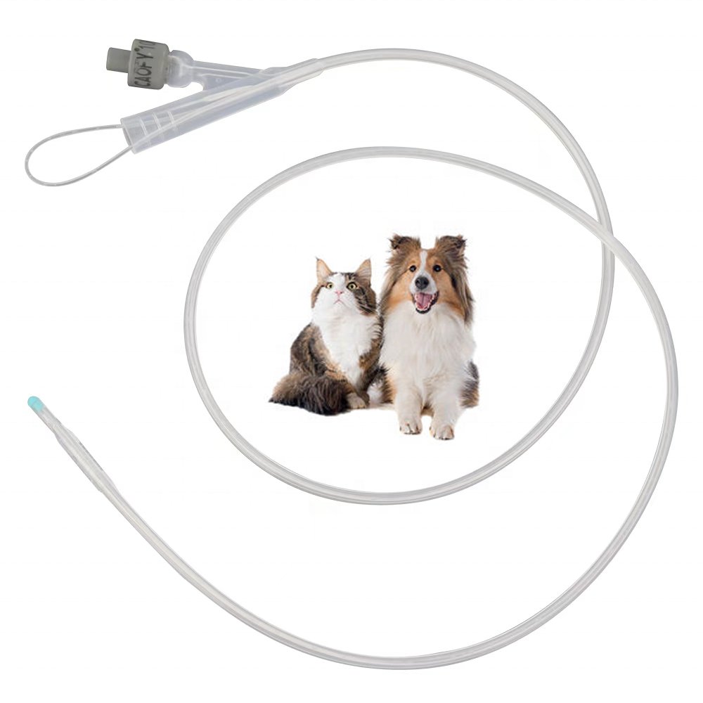 Pet Dog All Silicone Foley Catheter Veterinary Medical Equipment Silicone Foley Catheter For Dog