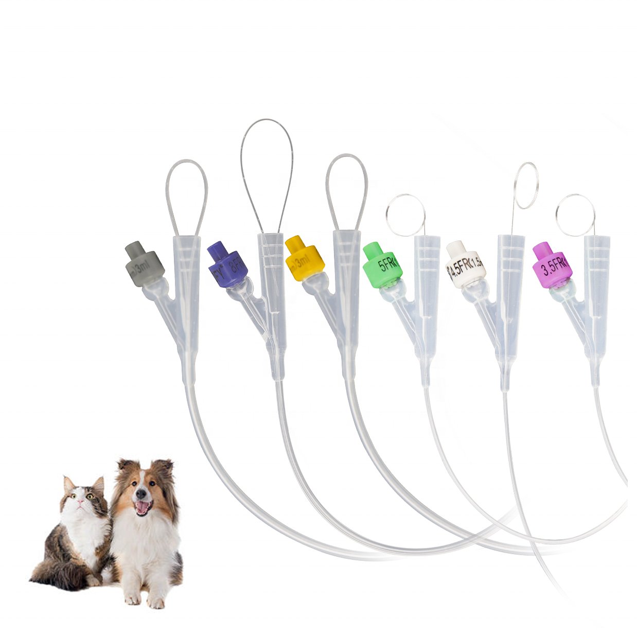 Pet Dog All Silicone Foley Catheter Veterinary Medical Equipment Silicone Foley Catheter For Dog