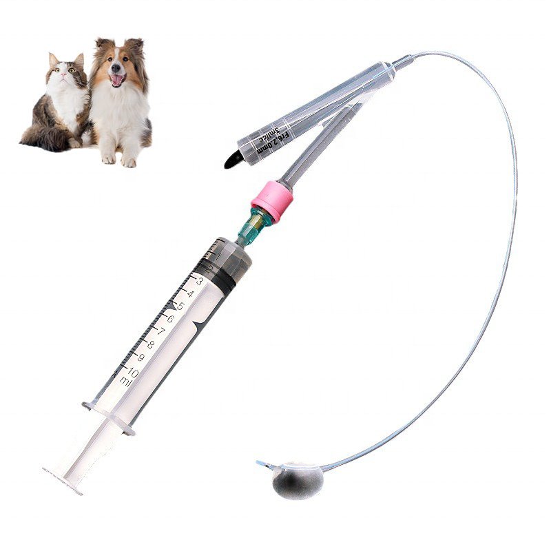 Pet Dog All Silicone Foley Catheter Veterinary Medical Equipment Silicone Foley Catheter For Dog