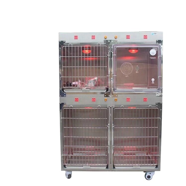 Animal & Veterinary