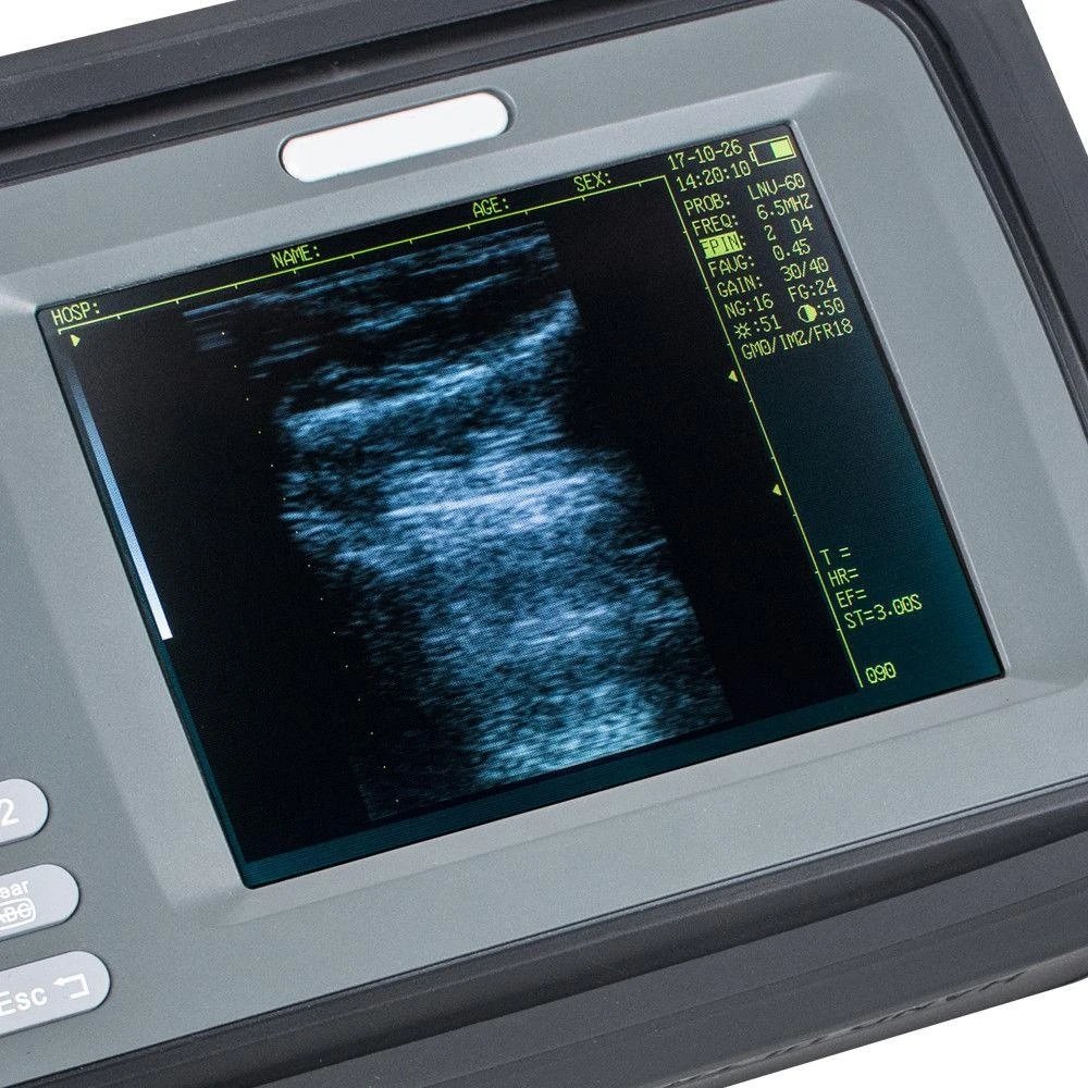 Handscan v8 Cheap Portable Rectal usg probe Vet Veterinary handheld veterinary vet ultrasound machine for pig sheep cattle goat