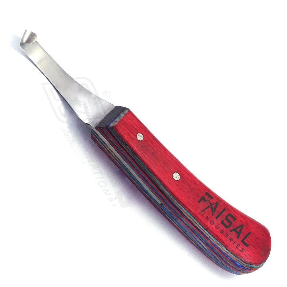 Hoof Rasp Curved Surgical Veterinary Tool High quality other veterinary instrument Veterinary Surgical instruments