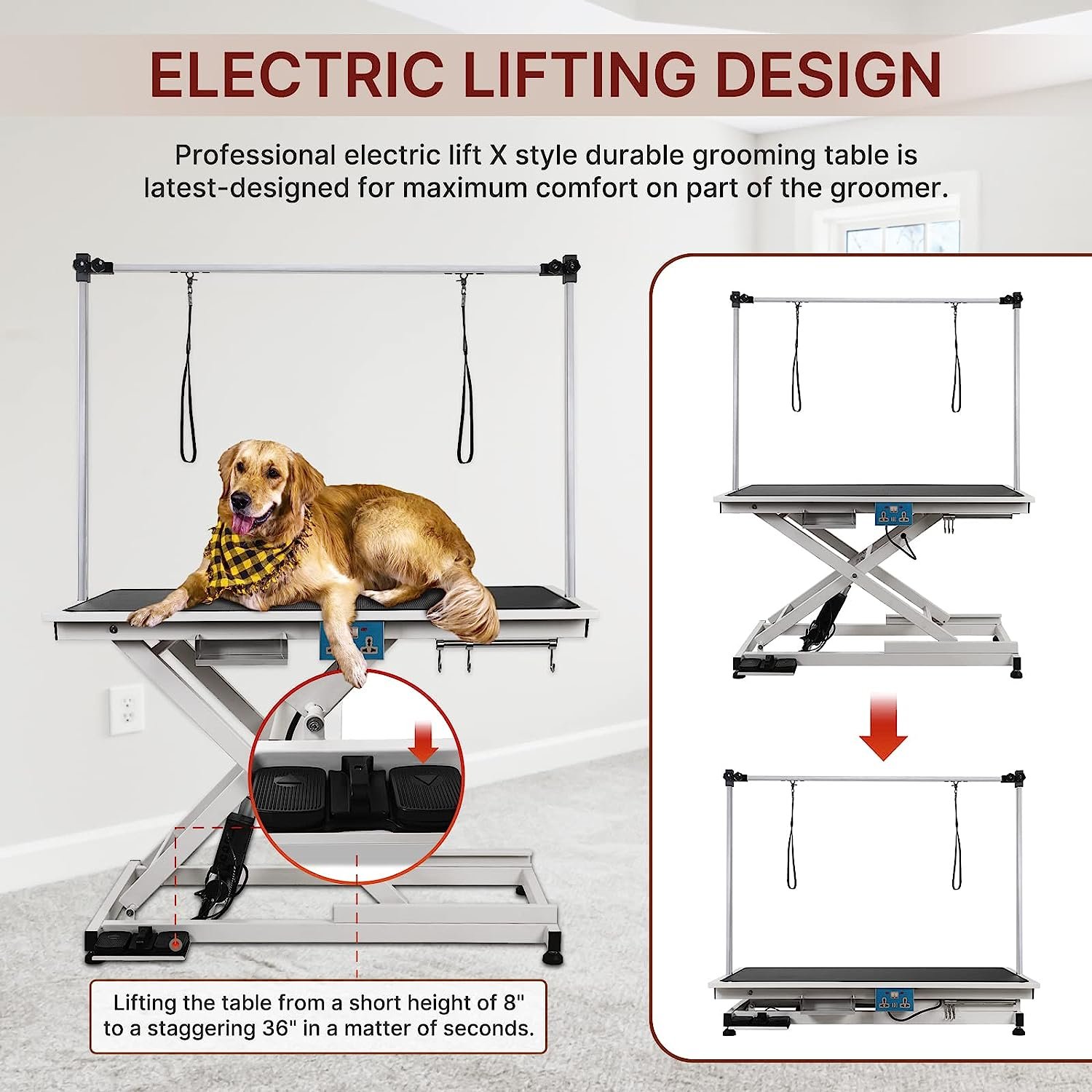 Arm Drying Electric Adjustable Height Dog Grooming Table Professional Veterinary Equipment Electric Dog Grooming Table