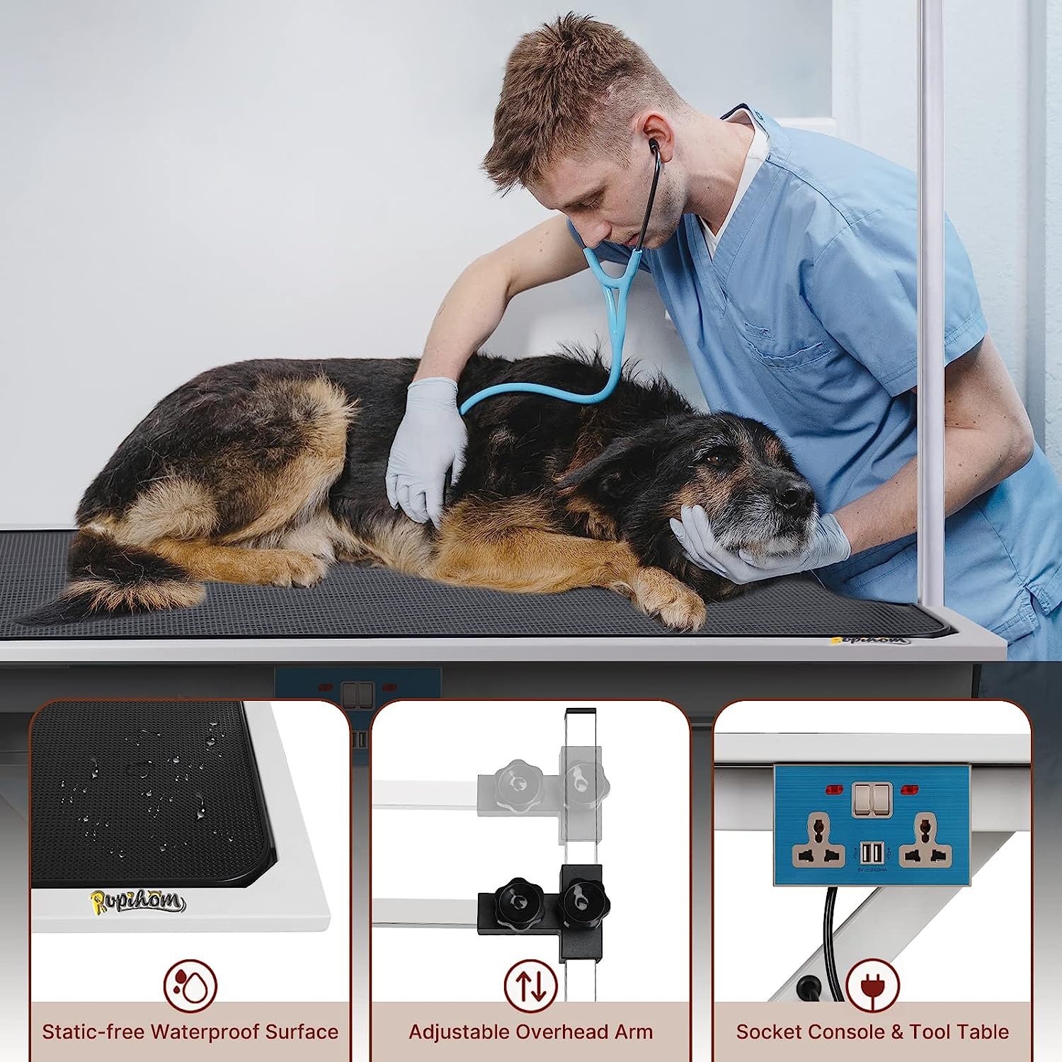 Arm Drying Electric Adjustable Height Dog Grooming Table Professional Veterinary Equipment Electric Dog Grooming Table