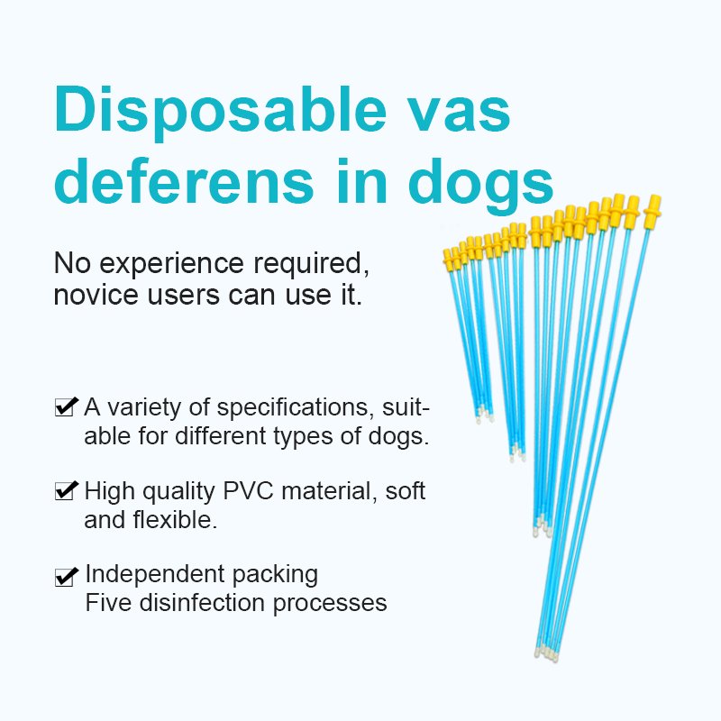 Disposable Artificial Insemination Catheter veterinary medicine Other Veterinary Instrument