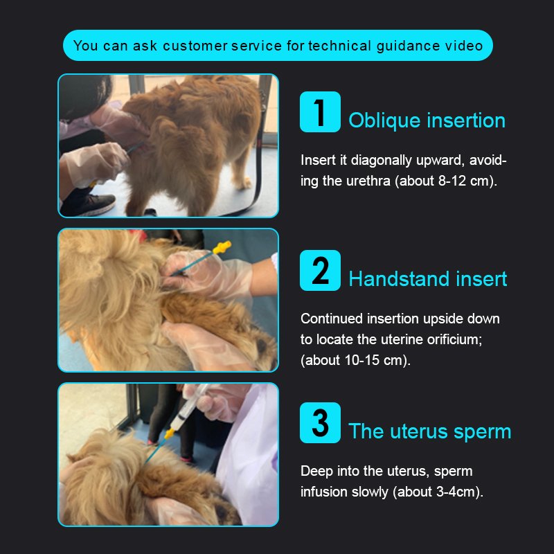 Disposable Artificial Insemination Catheter veterinary medicine Other Veterinary Instrument