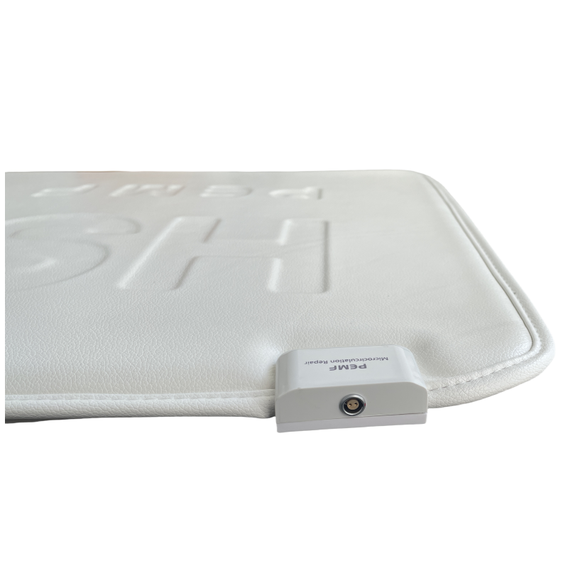 Portable PEMF Electromagnetic Therapy Apparatus for Home Use Veterinary Instrument to Alleviate Animal Joint Pain