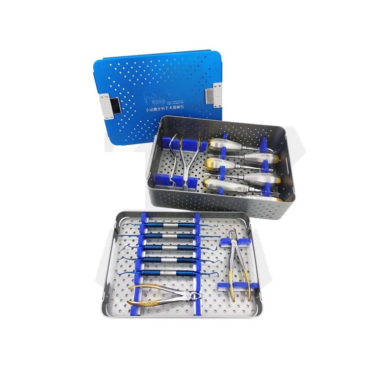 Other Veterinary Instrument veterinary Dental instrument With Cheap Price