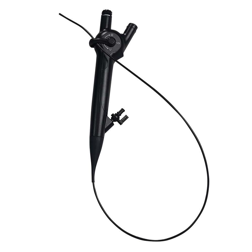Portable Orthopedic Veterinary Flexible Endoscope Equipment 1-Year Main System Medical Video Bronchoscope Bronchus Examination
