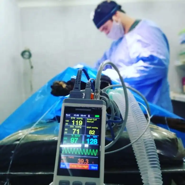 Factory Portable Handheld Vet Vital Signs Monitor Pulse Oximeters Veterinary monitor de signos vitales co2 monitors