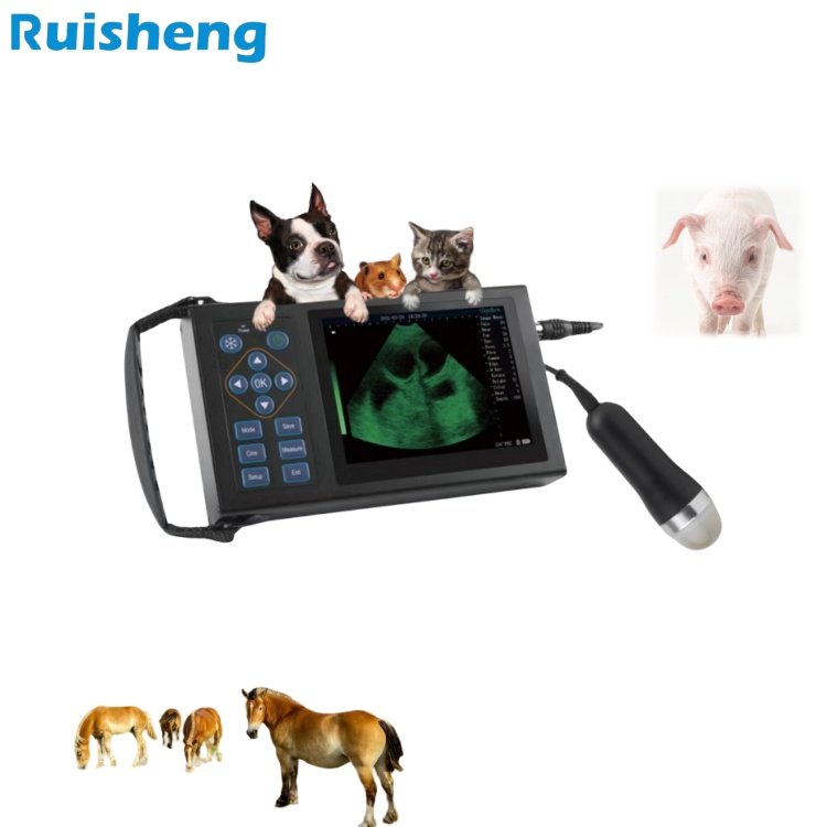 Ruisheng Ultrasound Machine Valuable Other Veterinary Instrument Ultrasound Machine For Animal/pet Use