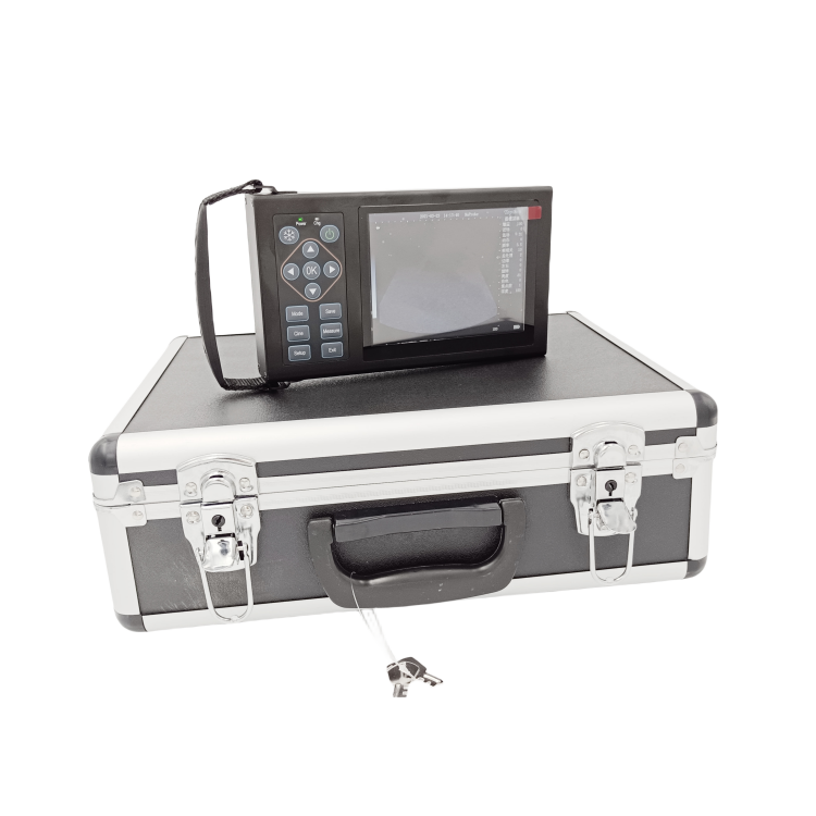 Ruisheng Ultrasound Machine Valuable Other Veterinary Instrument Ultrasound Machine For Animal/pet Use