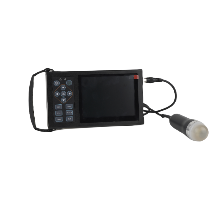 Ruisheng Ultrasound Machine Valuable Other Veterinary Instrument Ultrasound Machine For Animal/pet Use