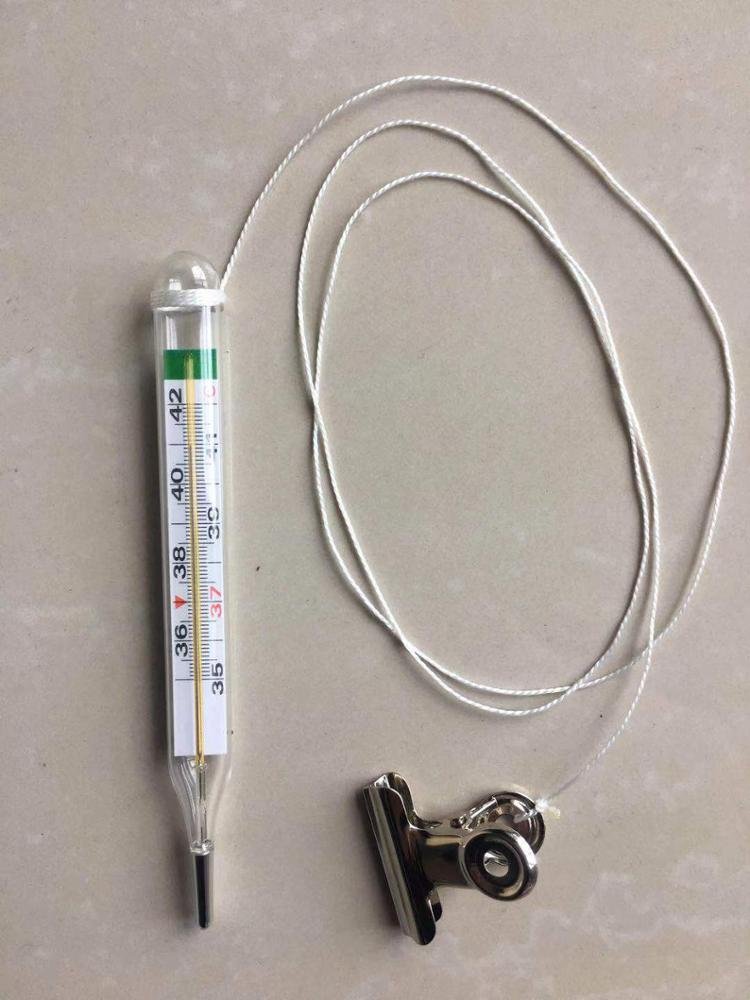 Custom Cheap Price veterinary Clinical Mercury Free Digital Thermometer for promotion