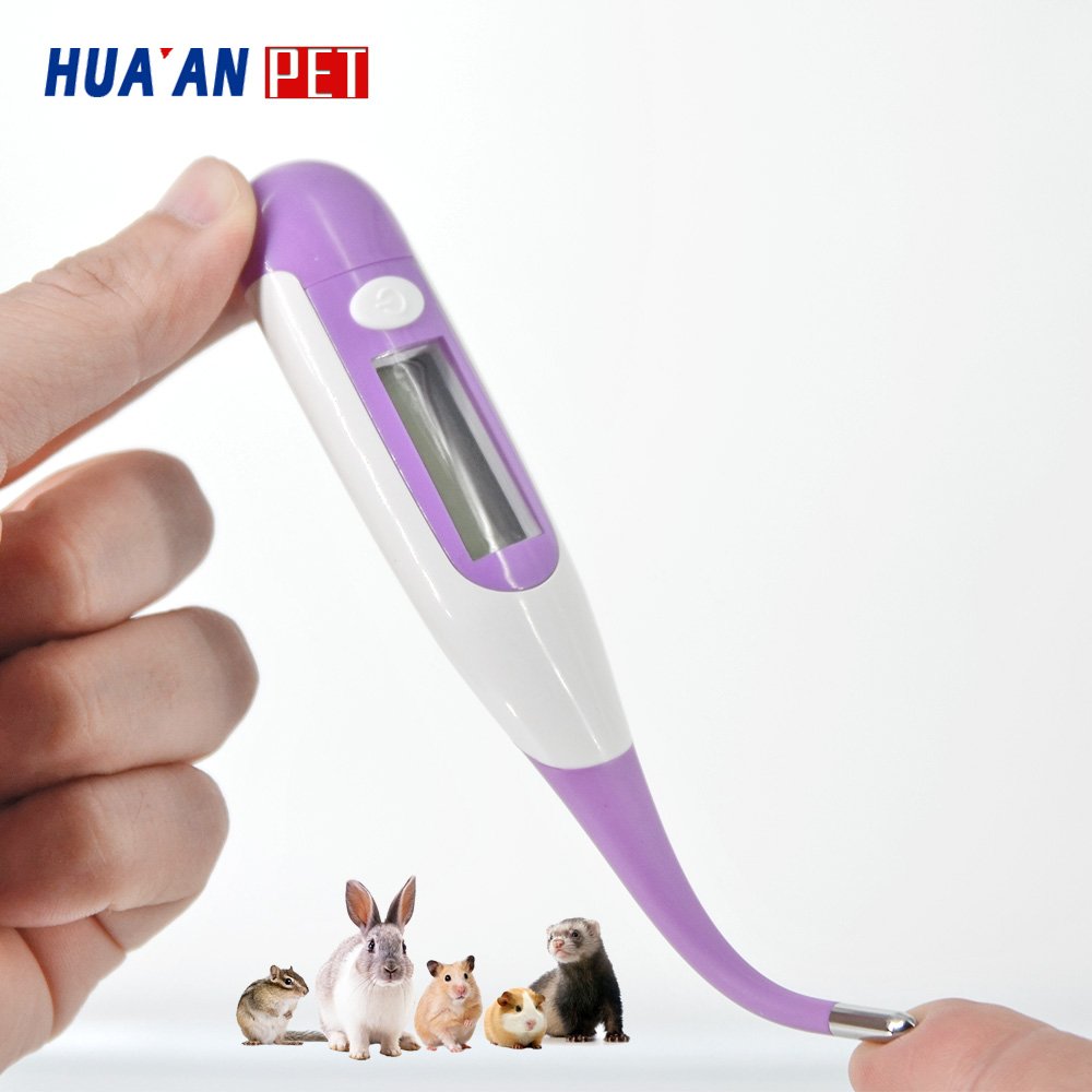 Real Professional Manufacturer of Other Veterinary Instruments Animal Digital Thermometer